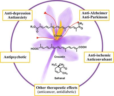 Neuroprotective Potency of Saffron Against Neuropsychiatric Diseases, Neurodegenerative Diseases, and Other Brain Disorders: From Bench to Bedside